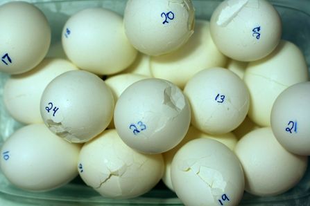 What's the best method for getting hard-boiled eggs that are easy to peel and attractive? (Photos by Caroll Co)