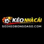 soikeobongdaso