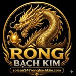 soicau247rbk