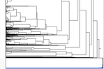 7625_Immagine.png