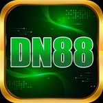 dn88run1