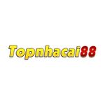 topnhacai88net