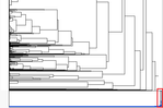 7638_Immagine.png