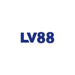 lv88ycom
