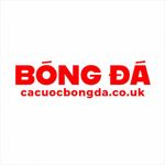 cacuocbongdacou