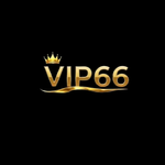 vip66vnorg