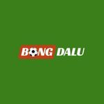 bongdaluguruu