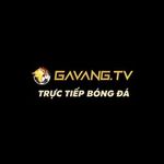gavangtvsbs
