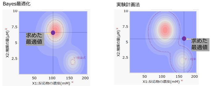 Masukawa_Nao_1-1783063509053.png