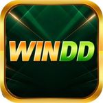 winddcasino