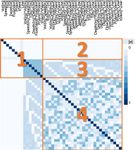 5_4 labelled CCM.jpg