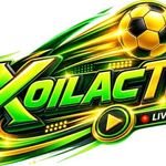 xoilactvn1