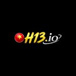 h13io