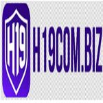 h19combiz