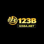 123bajpnet