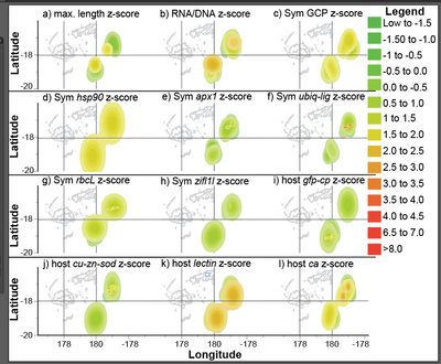 2.0] Difference Between Mapping And Scoring