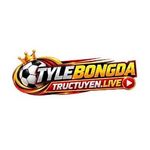 tylebongdatruc1