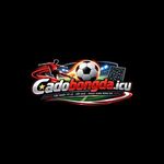 cadobongdaicu
