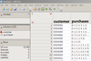 Customer purchase data