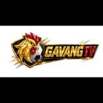 gavangtvttbd1