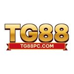 tg88pccom