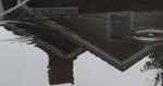 7963_MirrorRipple.jpg