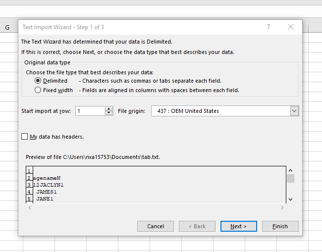 textimportwizard.PNG