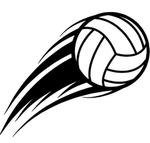Profile (Vball247)