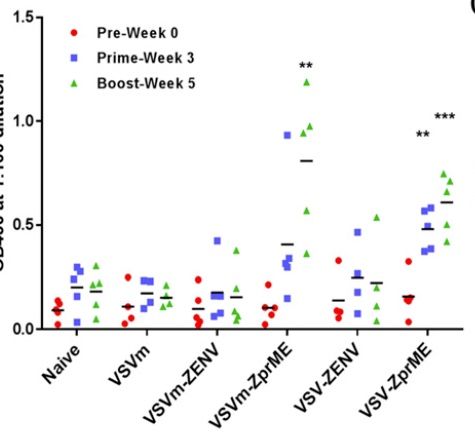 Help with graphing ELISA data - JMP User Community