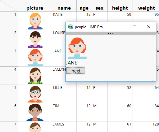 Window with picture from data table