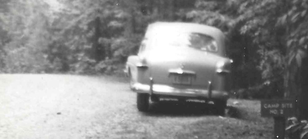 8677_Ford.jpg