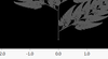 8763_FolowRecursion.png