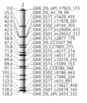 13_LinkMap_3D_Chrom2.png