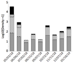 Screen Shot 2019-07-30 at 12.29.06 PM.png