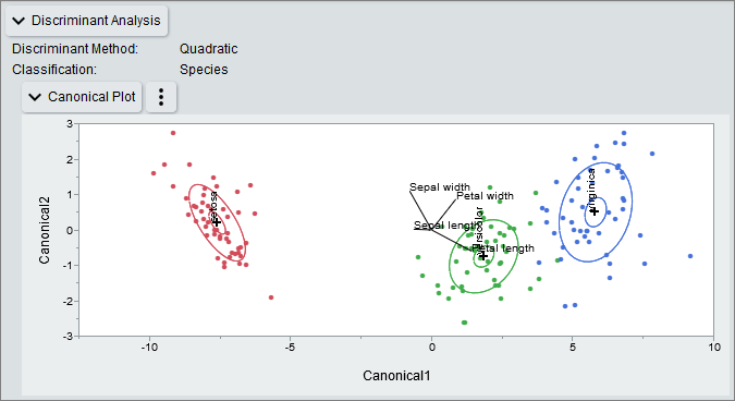 Figure 3. Custom Graphics Script in Discriminant Platform