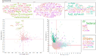 tom_donnelly_5-1585499964577.png