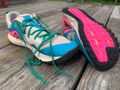 Trail shoes (Nike Air Zoom Wildhorse 5)