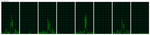 10285_pastedImage_2.png