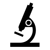 Bass_Masri_0-1590651102208.png