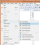 10737_sas_query_builder.png