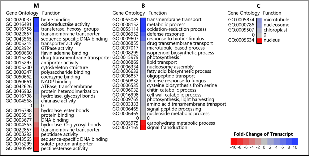 ravi heat map horizontal legend.png