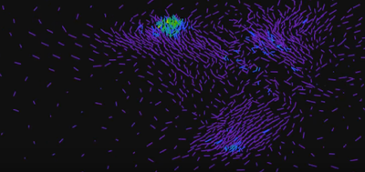 10770_flock.png 10770_flock.png