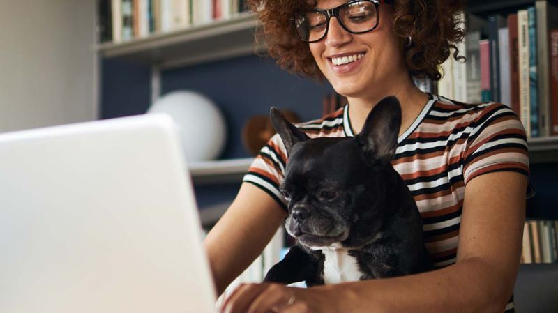 discovery summit americas JMP attendee with dog.jpeg