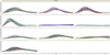 11308_pastedImage_2.png