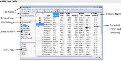 JMP Data Table.JPG