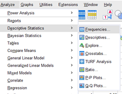 SPSS Analyze: Descriptive Statistics: Frequencies Menu