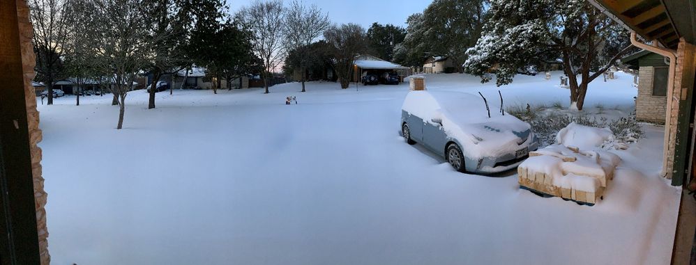 Figure 3: Snowfall on the morning of 15 Feb. as seen from my garage. By the end of the day, my kids had converted the exersaucer seen on the curb to a sled. Texans are gonna Texas.