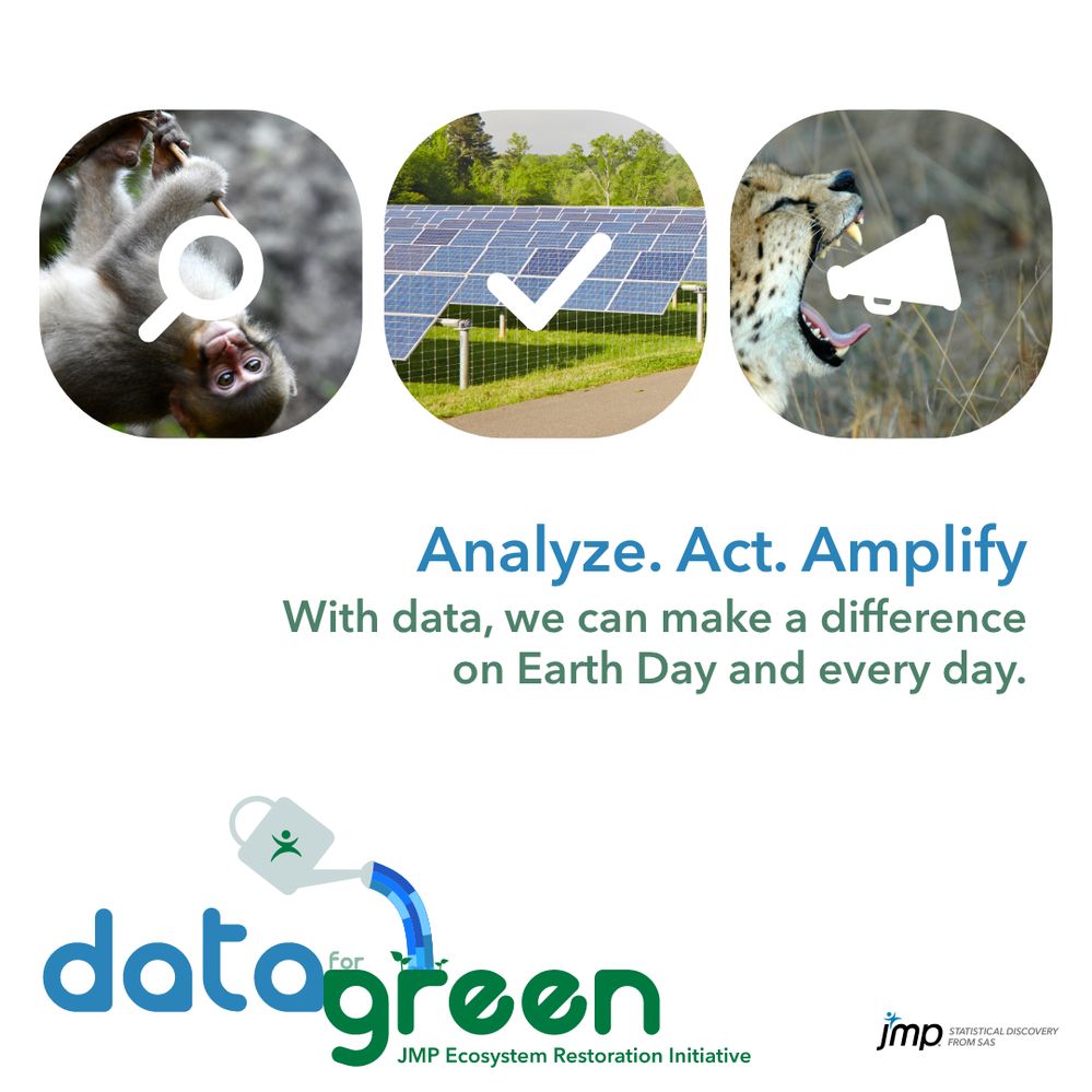 analyze-act-amplify-square-en.jpg