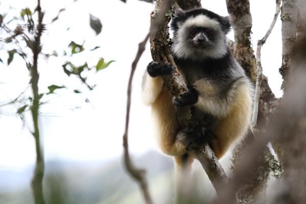 PHOTOS BY BRANDON SEMEL