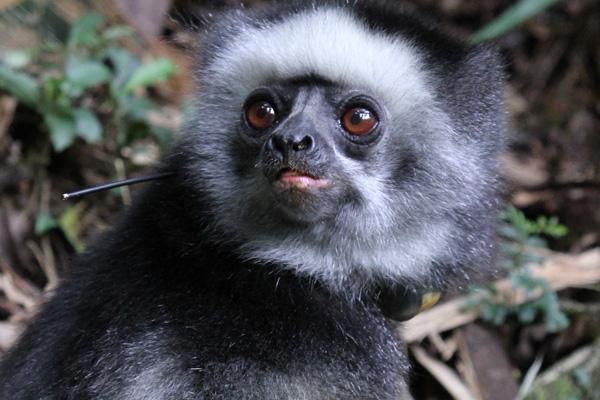 PHOTOS BY BRANDON SEMEL